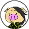 nt2.png